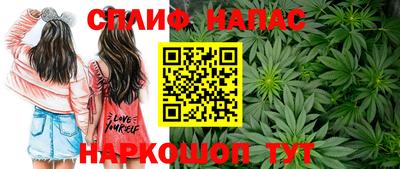 шишки Ярцево