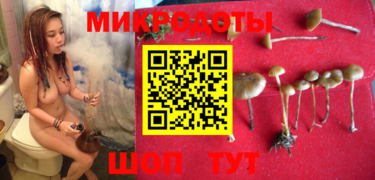 Галлюциногенные грибы Psilocybe  Вход с VPN  Архангельск  Галлюциногенные грибы Cubensis 